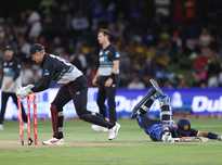 并不是新鲜 并不是新鲜