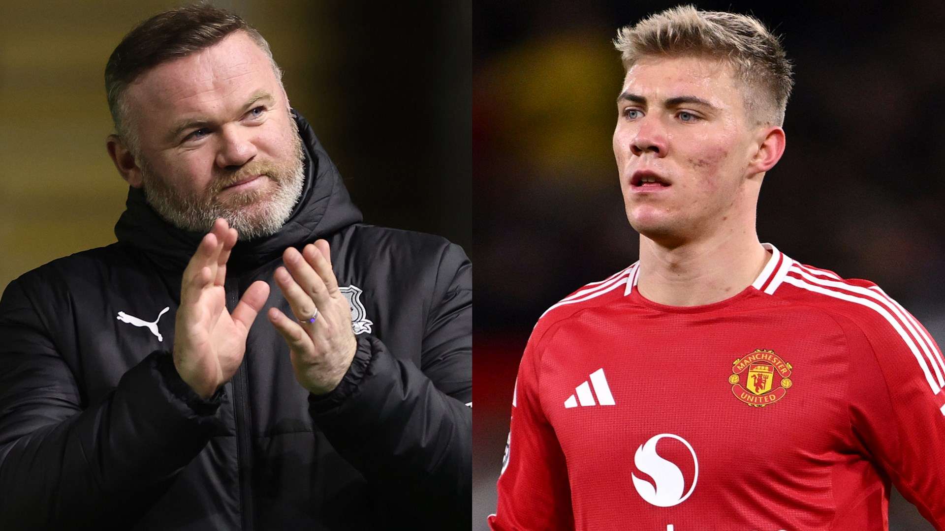 的名字或许 的名字或许